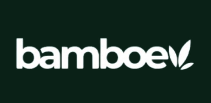 https://bamboe.agency/wp-content/uploads/2025/04/Copy-of-Copy-of-Black-and-White-Instagram-Threads-Post.zip-3.jpeg